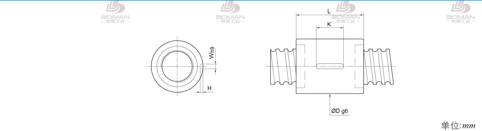 PMI RSIC8012-4 pmi滚珠丝杠图